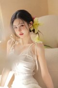 <b>质查询拜访、矿产开辟等做为纳贿的东西</b>